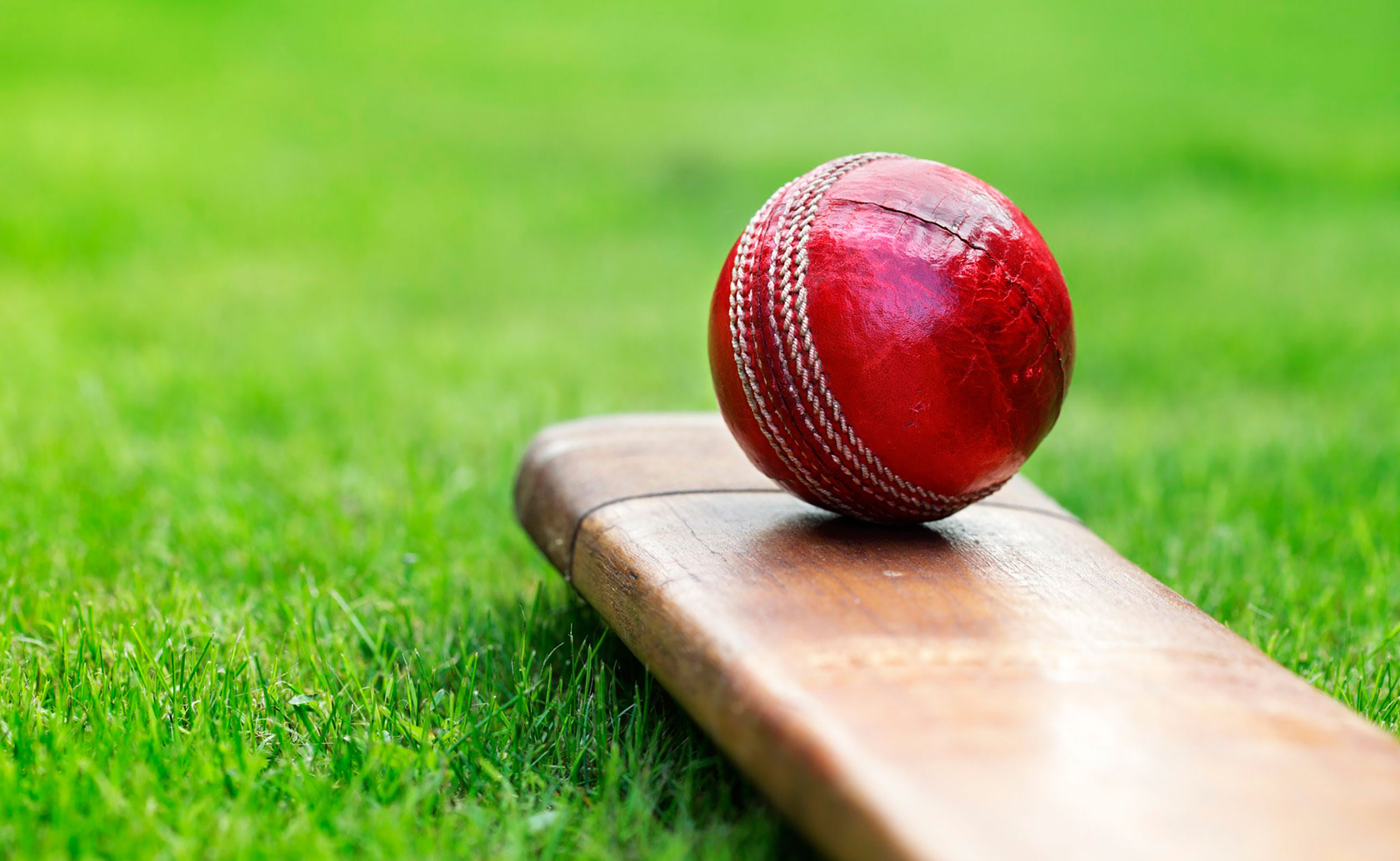 Welcome to the Cricket Federation for People with Disabilities